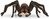 Schleich Harry Potter Aragog