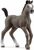 Schleich Selle Français Fohlen