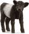 Schleich Galloway-Kalb
