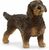 Schleich Rauhaardackel