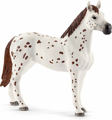 Schleich Súprava kôň Appaloosa a tréningové doplnky