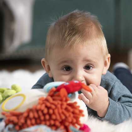 Miniland  Senzorická hračka - Koralový útes, od 0m+