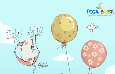 Kúpanie a nočník - Prečo si vybrať Tega Baby?