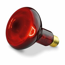 BEURER Ersatzbirne für die BEURER IL 11 Leuchte, 100W
