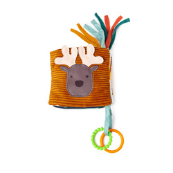 Little Big Friends Mein erstes Buch 2 in 1 - Les