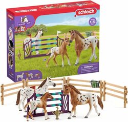 Schleich Sada kůň Appaloosa a tréninkové doplňky