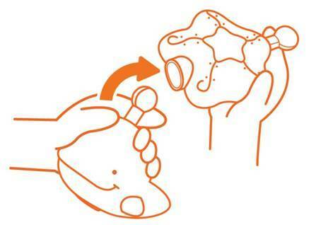 Ks Kids Morské živočíchy - Reťaz