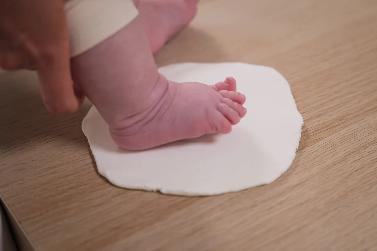 Petit Artichaut Print and Photo Frame, Rámik na odtlačok a fotografiu - Flowers
