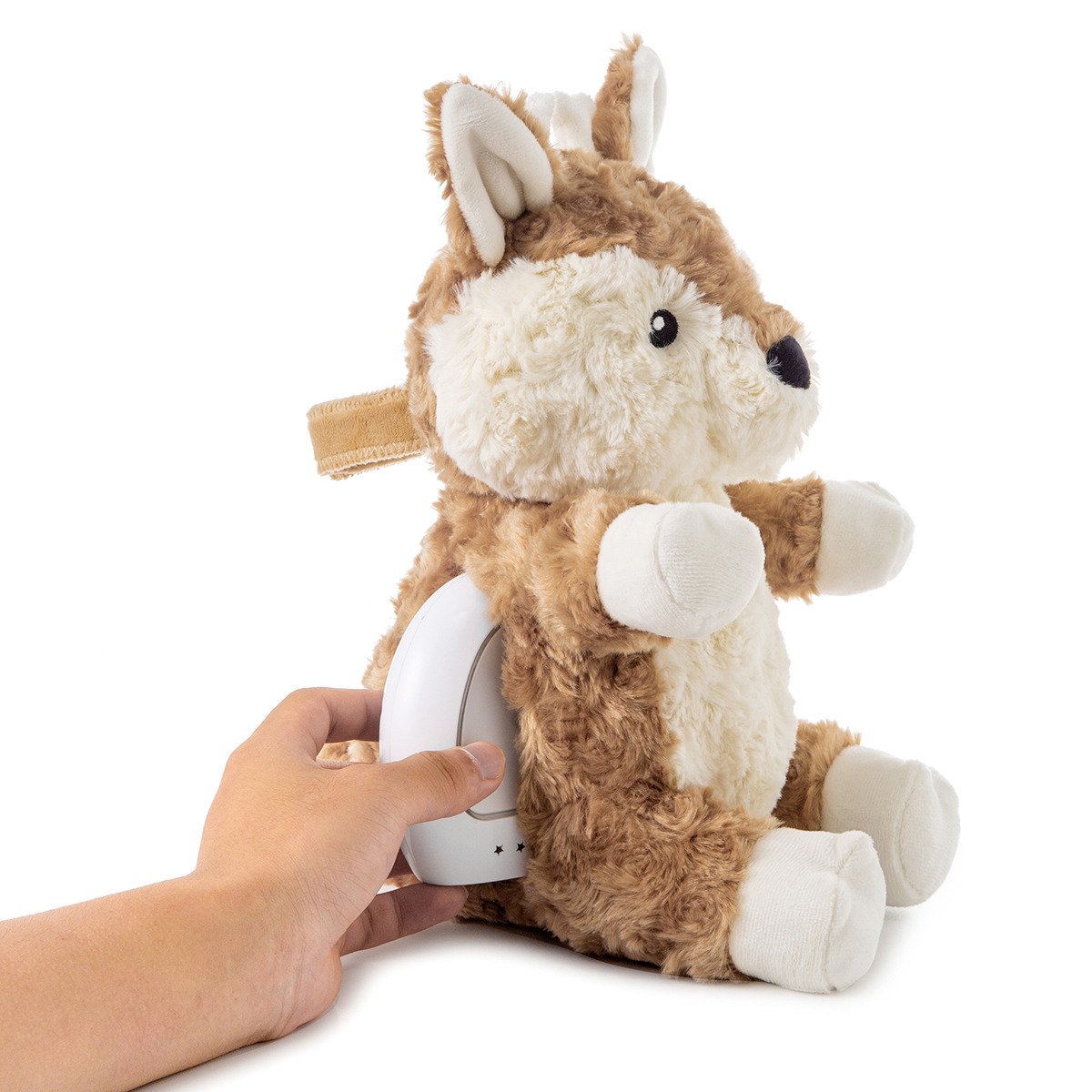 Cloud b®Love Light Buddies - Finley Fawn ™ Nočné svetielko s melódiou, Srnka, 0m+