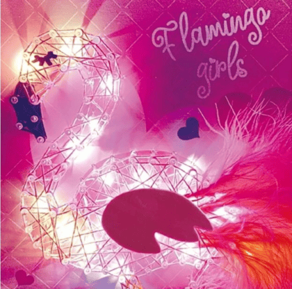 WOW BOX Kreatívna sada 3D šnúrkový Plameniak s LED svetielkami