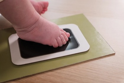 Petit Artichaut Štvorpanelový rámik na odtlačok a fotografiu - Rastliny