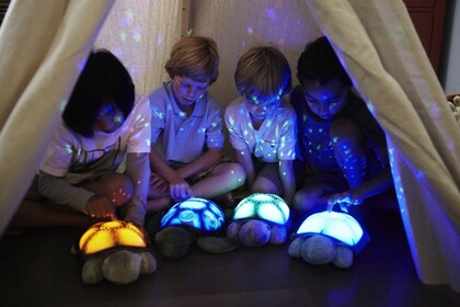 Cloud b® Twilight Turtle™ - Éjszakai lámpa, Turtle, kék, 0 m+