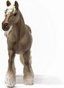 Schleich Dapple Mare, Kobyla Silver