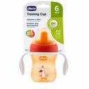 Chicco Auslaufsicherer Becher mit hartem Mundstück von 6 m, 200 ml, Orange