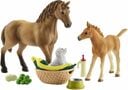 Schleich Horse Club - Starostlivosť o malé zvieratá Sarah