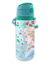 Kids Euroswan Hliníková fľaša Frozen, 600 ml