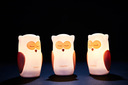 Olala Boutique LED-Nachtlichter Eulen, 3 Stück, weiß