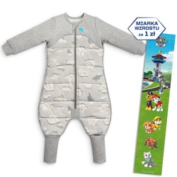 Love To Dream, Pyjama, Stufe 3, 3,5 TOG, 6–12 m, Grau/Eisbär