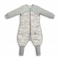 Love To Dream, Pyjama, Stufe 3, 3,5 TOG, 6–12 m, Grau/Eisbär