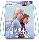 Kids Euroswan Tasche für Hausschuhe, Frozen, 40cm